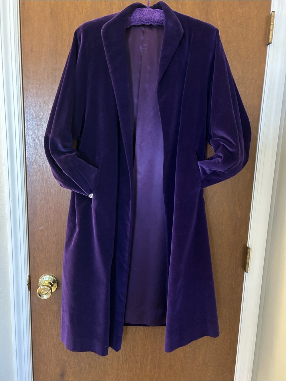 Marguerite Rubel Velvet Coat in Deep Violet